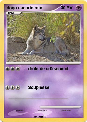 Pokemon dogo canario mix
