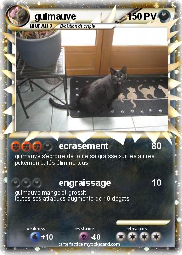 Pokemon guimauve
