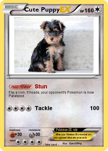 Pokemon Cute Puppy