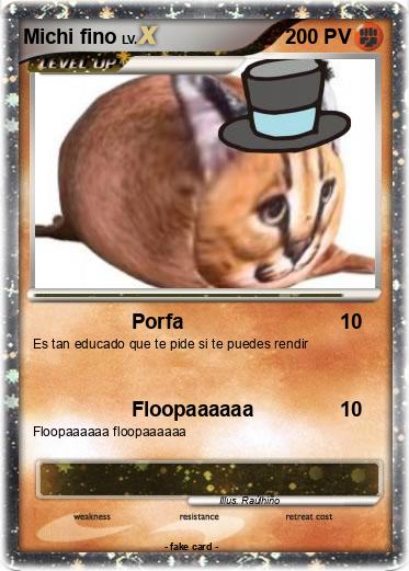 Pokemon Michi fino
