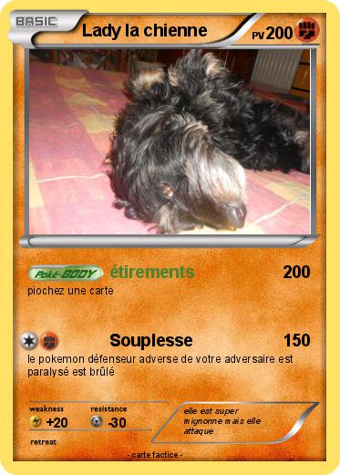 Pokemon Lady la chienne
