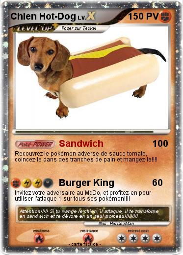 Pokemon Chien Hot-Dog