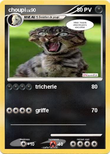 Pokemon choupi