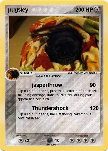 Pokemon pugsley