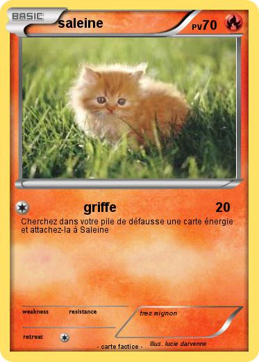 Pokemon saleine