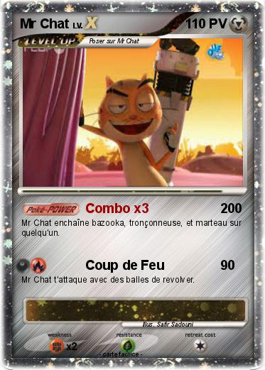 Pokemon Mr Chat
