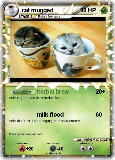 Pokemon cat mugged