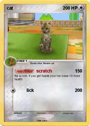 Pokemon cat