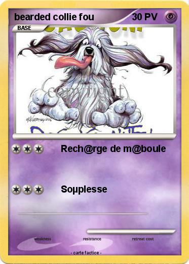 Pokemon bearded collie fou