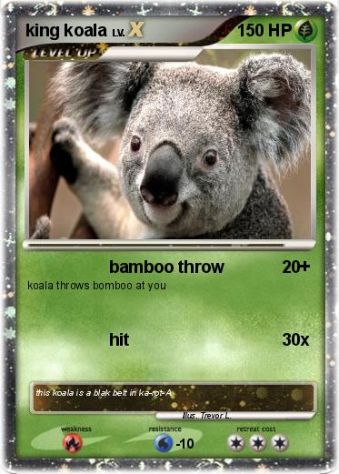 Pokemon king koala