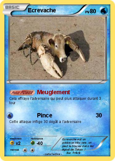 Pokemon Ecrevache