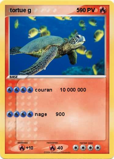 Pokemon  tortue g                             5