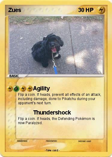 Pokemon Zues