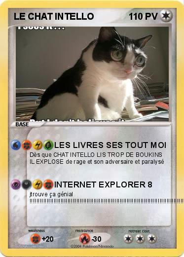 Pokemon LE CHAT INTELLO                  