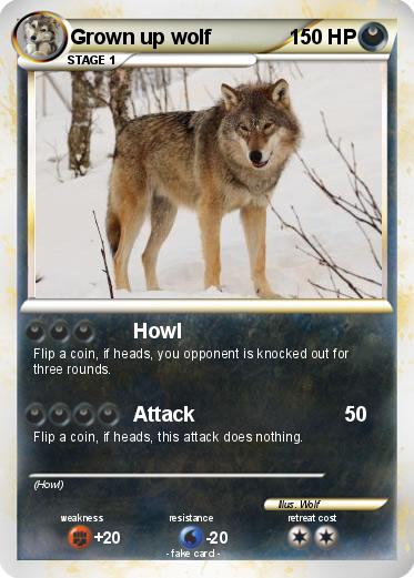 Pokemon Grown up wolf