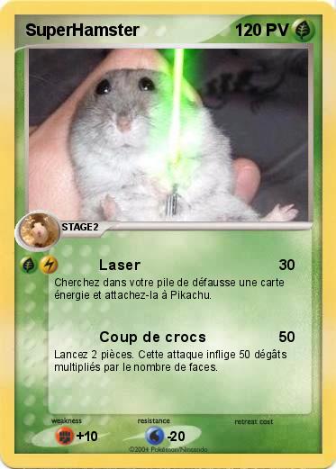 Pokemon SuperHamster