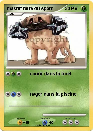 Pokemon mastiff faire du sport
