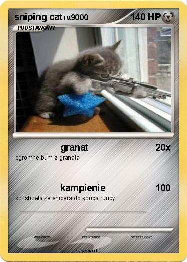 Pokemon sniping cat