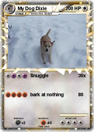 Pokemon My Dog Dixie