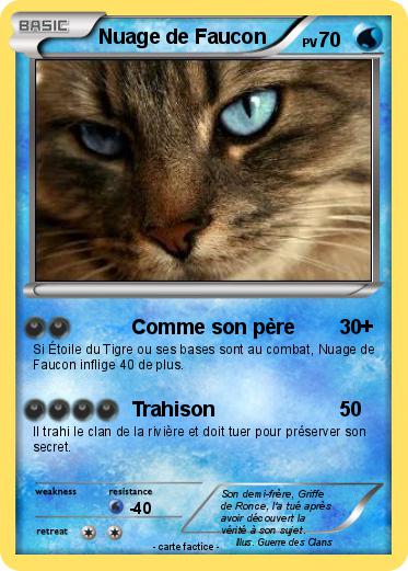Pokemon Nuage de Faucon