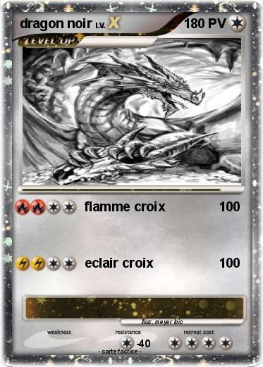 Pokemon dragon noir