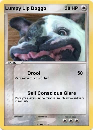 Pokemon Lumpy Lip Doggo