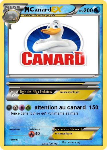 Pokemon Canard