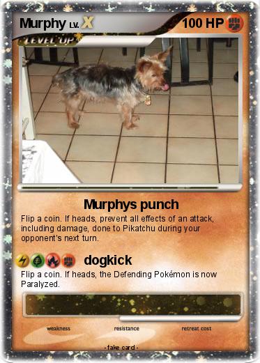 Pokemon Murphy