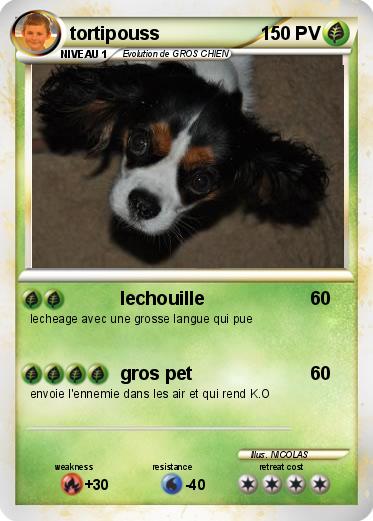 Pokemon tortipouss