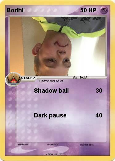 Pokemon Bodhi