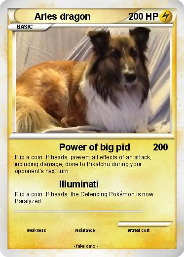 Pokemon Aries dragon