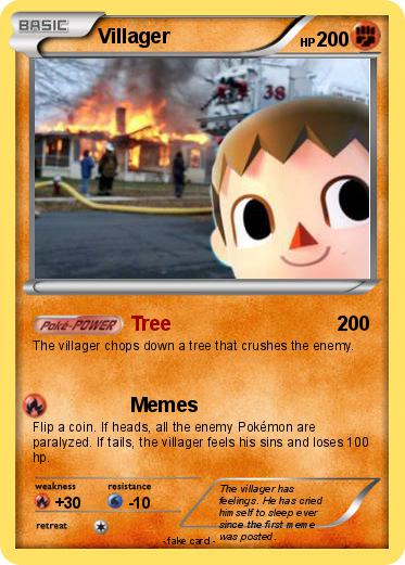 Pokemon Villager