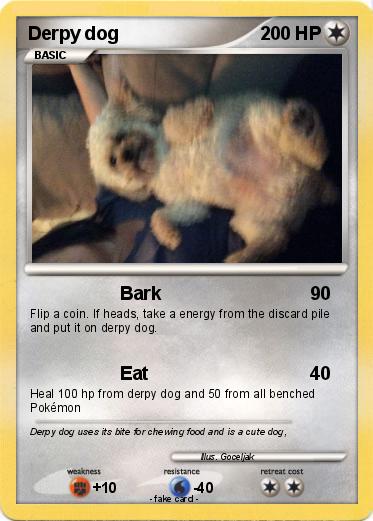 Pokemon Derpy dog