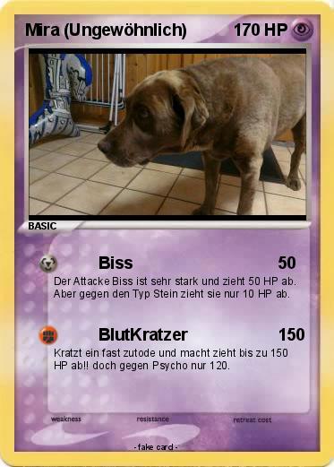 Pokemon Mira (Ungewöhnlich)