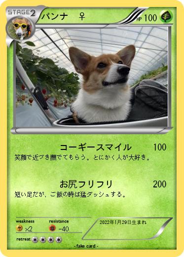 Pokemon パンナ　♀