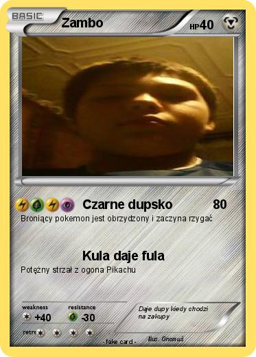 Pokemon Zambo