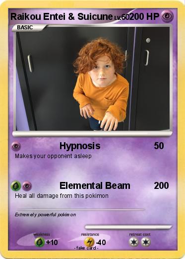 Pokemon Raikou Entei & Suicune