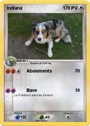 Pokemon Indiana