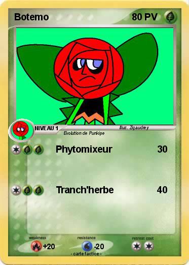 Pokemon Botemo