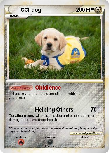 Pokemon CCI dog