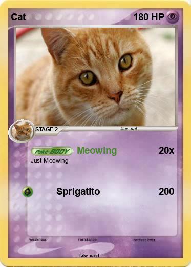 Pokemon Cat