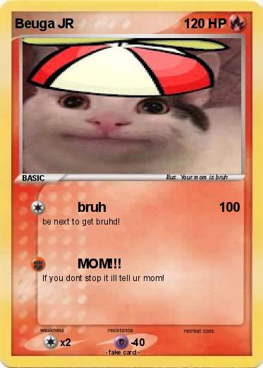 Pokemon Beuga JR