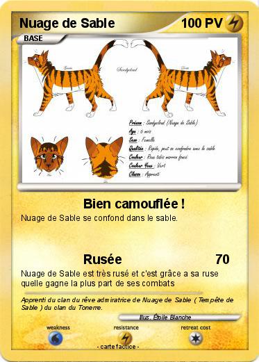 Pokemon Nuage de Sable