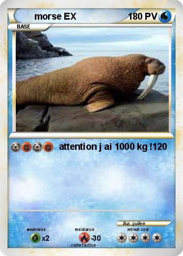 Pokemon morse EX