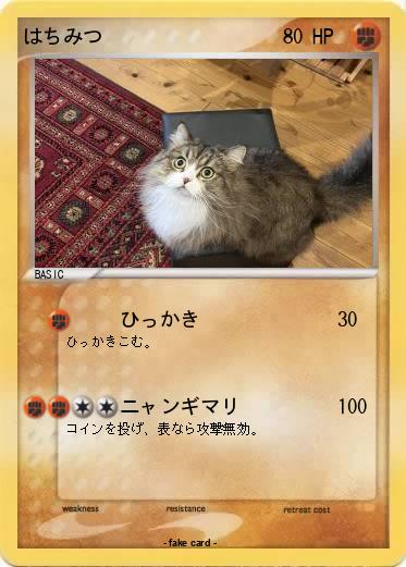 Pokemon はちみつ