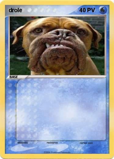 Pokemon drole