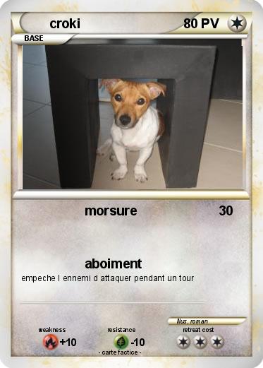 Pokemon croki