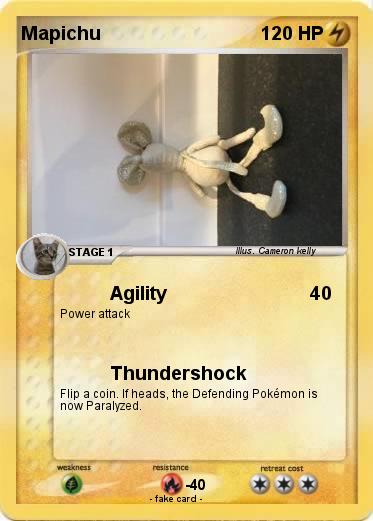 Pokemon Mapichu