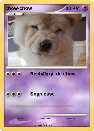 Pokemon chow-chow