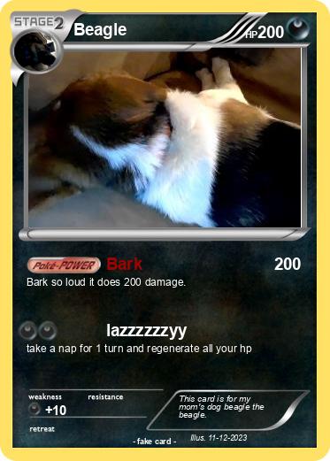 Pokemon Beagle
